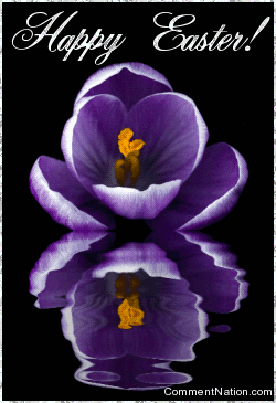 Graphic Purple Flowers