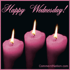Happy Wednesday Funny