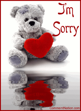 sorry with teddy