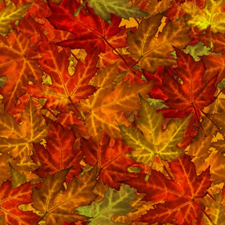 Click to get the codes for this image. Autumn Maple Leaves Background Tiled, Autumn or Fall Background Wallpaper Image or texture free for any profile, webpage, phone, or desktop