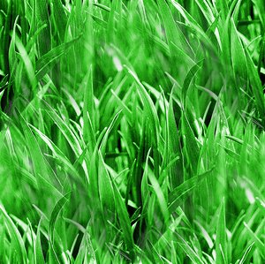 Click to get the codes for this image. Blades Of Grass Seamless Pattern, Plants Background Wallpaper Image or texture free for any profile, webpage, phone, or desktop