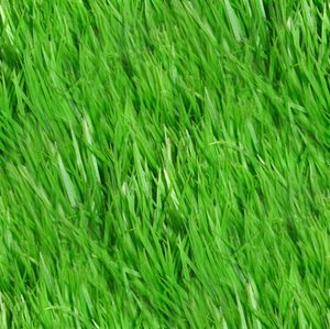 Click to get the codes for this image. Grass Seamless Pattern, Green, Plants Background Wallpaper Image or texture free for any profile, webpage, phone, or desktop