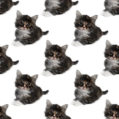 Click to get the codes for this image. Gray Kittens, Cats Background Wallpaper Image or texture free for any profile, webpage, phone, or desktop