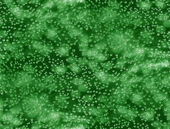 Click to get the codes for this image. Green Bubbles Under Glass Abstract Background Seamless, Bubbles, Abstract, Green Background Wallpaper Image or texture free for any profile, webpage, phone, or desktop
