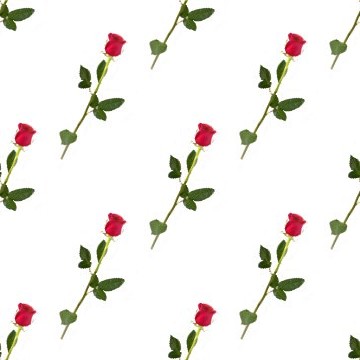 Click to get the codes for this image. Long Stemmed Roses, Flowers Background Wallpaper Image or texture free for any profile, webpage, phone, or desktop