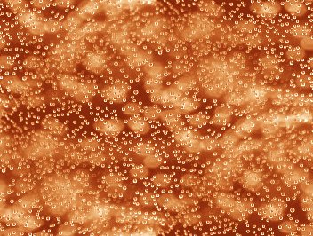 Click to get the codes for this image. Orange Bubbles Under Glass Abstract Background Seamless, Bubbles, Abstract, Orange, Brown Background Wallpaper Image or texture free for any profile, webpage, phone, or desktop