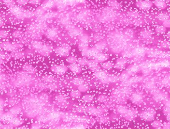 Click to get the codes for this image. Pink Bubbles Under Glass Abstract Background Seamless, Bubbles, Abstract, Pink Background Wallpaper Image or texture free for any profile, webpage, phone, or desktop