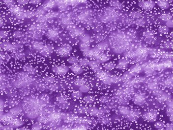 Click to get the codes for this image. Purple Bubbles Under Glass Abstract Background Seamless, Bubbles, Abstract, Purple Background Wallpaper Image or texture free for any profile, webpage, phone, or desktop
