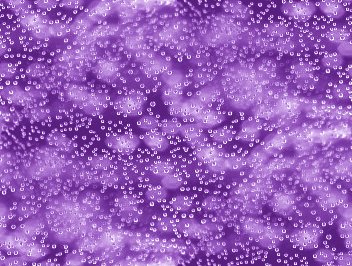Click to get the codes for this image. Purple Bubbles Under Glass Abstract Background Seamless, Bubbles, Abstract, Purple Background Wallpaper Image or texture free for any profile, webpage, phone, or desktop