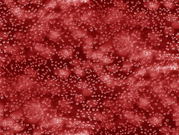 Click to get the codes for this image. Red Bubbles Under Glass Abstract Background Seamless, Bubbles, Abstract, Red Background Wallpaper Image or texture free for any profile, webpage, phone, or desktop