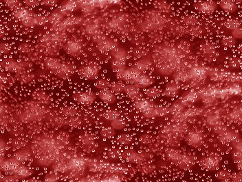 Click to get the codes for this image. Red Bubbles Under Glass Abstract Background Seamless, Bubbles, Abstract, Red Background Wallpaper Image or texture free for any profile, webpage, phone, or desktop