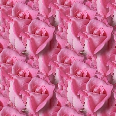 Click to get the codes for this image. Seamless Pink Roses, Pink, Flowers Background Wallpaper Image or texture free for any profile, webpage, phone, or desktop