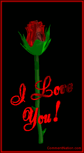 Click to get the codes for this image. This graphic features a beautiful 3 dimensional rotating rose. The comment reads: I Love You!