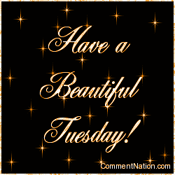 Click to get the codes for this image. Have a Beautiful Tuesday Orange Stars, WeekDays Tuesday Image Comment, Graphic or Meme for posting on FaceBook, Twitter or any blog!