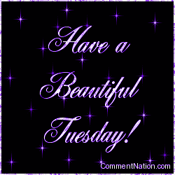 Click to get the codes for this image. Have a Beautiful Tuesday Purple Stars, WeekDays Tuesday Image Comment, Graphic or Meme for posting on FaceBook, Twitter or any blog!