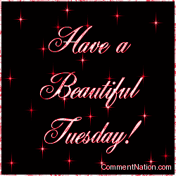 Click to get the codes for this image. Have a Beautiful Tuesday Red Stars, WeekDays Tuesday Image Comment, Graphic or Meme for posting on FaceBook, Twitter or any blog!