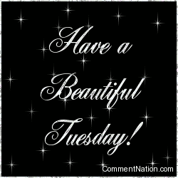 Click to get the codes for this image. Have a Beautiful Tuesday Silver Stars, WeekDays Tuesday Image Comment, Graphic or Meme for posting on FaceBook, Twitter or any blog!