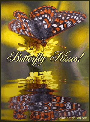 Click to get the codes for this image. This pretty graphic shows a beautiful butterfly perched on a bunch of yellow flowers reflected in an animated pool. The comment reads: Butterfly Kisses!