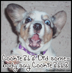 Click to get the codes for this image. This funny animated photo is sure to make any dog lover smile! It's a cute animated photo of an excited dog with the caption: Cookie?!? Did somebody say Cookie?!?