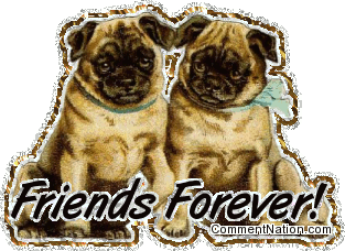 Click to get the codes for this image. This cute glitter graphic shows two puppies with the comment: Friends Forever!