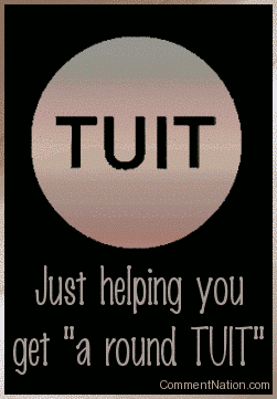 Click to get the codes for this image. This silly pun has a round disk with the word "TUIT". It reads: Just helping you get "a round TUIT"