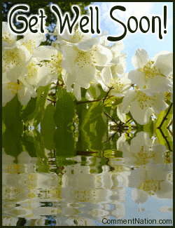 Click to get the codes for this image. If you know somebody who's feeling under the weather, send them Get Well wishes with this beautiful comment featuring white flowers reflected in an animated pool. The comment reads "Get Well Soon!"