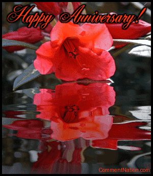Click to get the codes for this image. Send anniversary wishes with this beautiful animated graphic. The picture shows a beautiful red flower reflected in an animated pool. The comment reads "Happy Anniversary!"