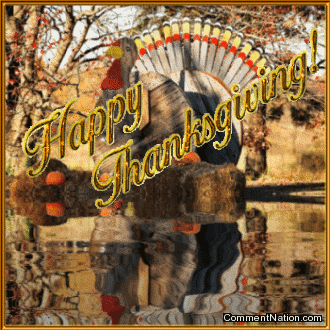 Click to get the codes for this image. Happy Thanksgiving Reflecting Turkey, Newest Comments  Graphics, Thanksgiving Image Comment, Graphic or Meme for posting on FaceBook, Twitter or any blog!