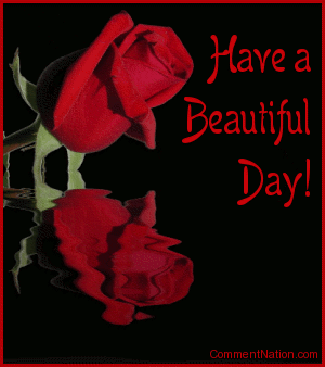 Click to get the codes for this image. This beautiful graphic shows a red rose bud reflected in an animated pool. The comment reads: Have a Beautiful Day! So tell someone special that you're thinking about them and wish them a great day!
