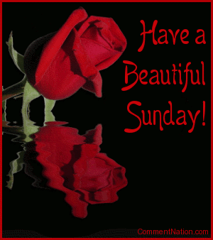 Click to get the codes for this image. This beautiful graphic shows a red rose bud reflected in an animated pool. The comment reads: Have a Beautiful Sunday! So tell someone special that you're thinking about them and wish them a great Sunday!