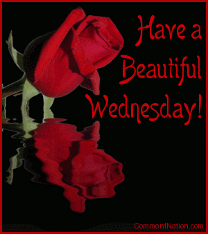 Click to get the codes for this image. This beautiful graphic shows a red rose bud reflected in an animated pool. The comment reads: Have a Beautiful Wednesday! So tell someone special that you're thinking about them and wish them a great Wednesday!