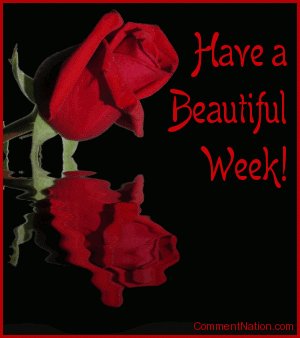 Click to get the codes for this image. This beautiful graphic shows a red rose bud reflected in an animated pool. The comment reads: Have a Beautiful Week! So tell someone special that you're thinking about them and wish them a great week!