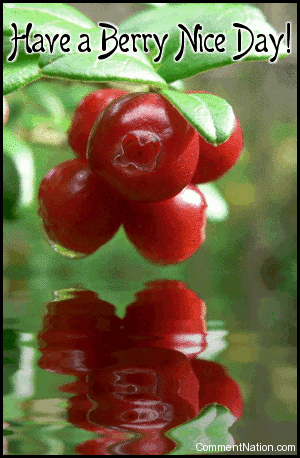 Click to get the codes for this image. Wish your friends a great day with this animated graphic. It shows a photo of red berries reflected in an animated pool. The comment reads: Have a Berry Nice Day!