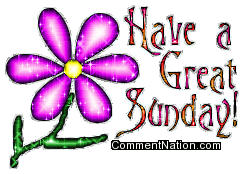 Click to get the codes for this image. Have A Great Sunday Glitter Flower, WeekDays Sunday Image Comment, Graphic or Meme for posting on FaceBook, Twitter or any blog!