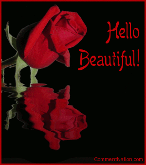Click to get the codes for this image. This beautiful graphic shows a red rose bud reflected in an animated pool. The comment reads: Hello Beautiful!