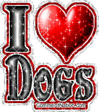 Click to get the codes for this image. This cute glitter graphic has a glittered red heart and the comment reads: I Love Dogs!