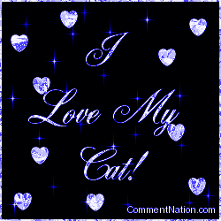 Click to get the codes for this image. I Love My Cat Blue Stars, Animals Cats Image Comment, Graphic or Meme for posting on FaceBook, Twitter or any blog!