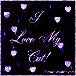 Click to get the codes for this image. I Love My Cat Purple Stars, Animals Cats Image Comment, Graphic or Meme for posting on FaceBook, Twitter or any blog!