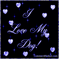 Click to get the codes for this image. I Love My Dog Blue Stars, Animals Dogs Image Comment, Graphic or Meme for posting on FaceBook, Twitter or any blog!