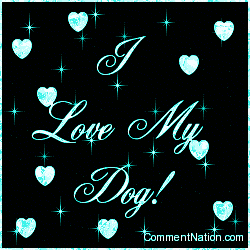 Click to get the codes for this image. I Love My Dog, Animals Dogs Image Comment, Graphic or Meme for posting on FaceBook, Twitter or any blog!
