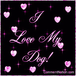 Click to get the codes for this image. I Love My Dog Pink Stars, Animals Dogs Image Comment, Graphic or Meme for posting on FaceBook, Twitter or any blog!