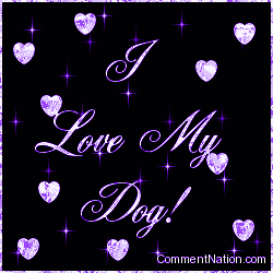 Click to get the codes for this image. I Love My Dog Purple Stars, Animals Dogs Image Comment, Graphic or Meme for posting on FaceBook, Twitter or any blog!