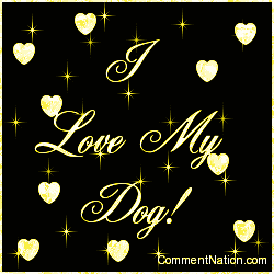Click to get the codes for this image. I Love My Dog Yellow Stars, Animals Dogs Image Comment, Graphic or Meme for posting on FaceBook, Twitter or any blog!