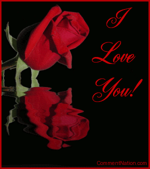 Click to get the codes for this image. This beautiful graphic shows a red rose bud reflected in an animated pool. The comment reads: I Love You!