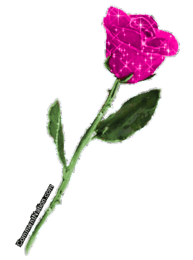 Click to get the codes for this image. Long Stemmed Pink Glitter Rose, Flowers Image Comment, Graphic or Meme for posting on FaceBook, Twitter or any blog!