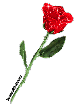 Click to get the codes for this image. Long Stemmed Red Glitter Rose, Flowers Image Comment, Graphic or Meme for posting on FaceBook, Twitter or any blog!