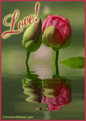 Click to get the codes for this image. Show that special someone how much they mean with this animated photo. The graphic shows two red flower buds reflecting in an animated pool. The comment reads: Love!