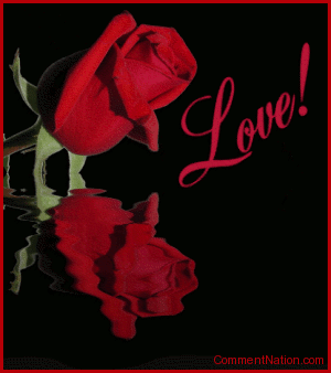 Click to get the codes for this image. This beautiful graphic shows a red rose bud reflected in an animated pool. The comment reads: Love!