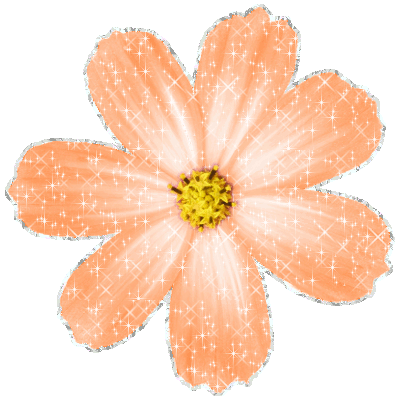 Click to get the codes for this image. Peach Glitter Flower, Flowers Image Comment, Graphic or Meme for posting on FaceBook, Twitter or any blog!