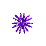 Click to get the codes for this image. Purple Blinking Glitter Starburst, Stars Image Comment, Graphic or Meme for posting on FaceBook, Twitter or any blog!